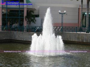 Vòi phun tạo hình cây thông 11