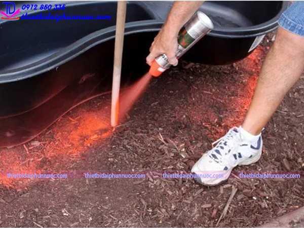 Cách làm tiểu cảnh nước 3 Cách làm tiểu cảnh nước 3