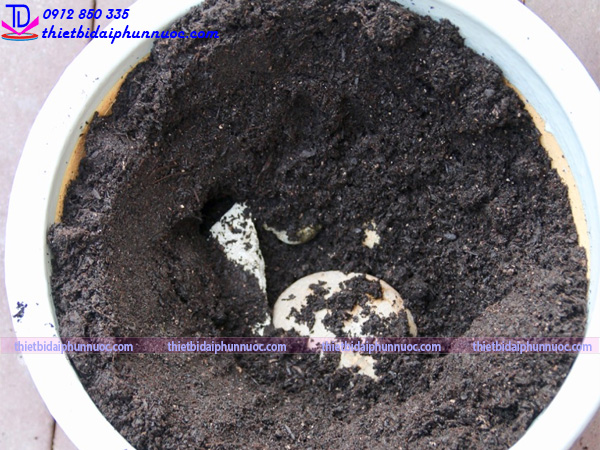 Đài phun nước bằng chậu cây 13
