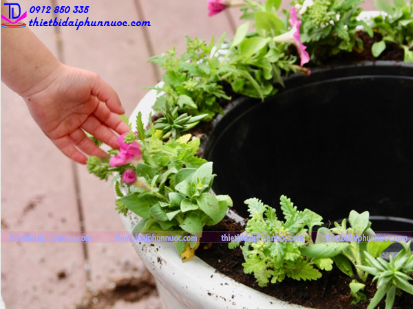 Đài phun nước bằng chậu cây 15