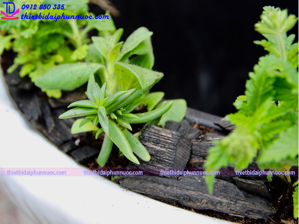 Đài phun nước bằng chậu cây 16