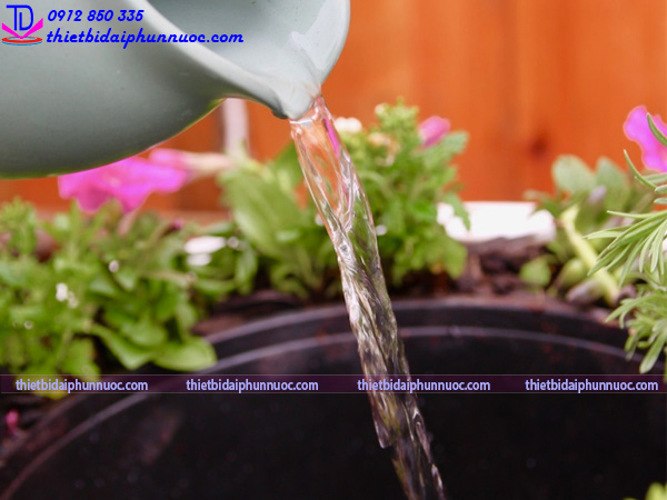 Đài phun nước bằng chậu cây 19