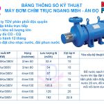 Bơm chìm 3 pha 5HP trục ngang, MBH Ấn Độ