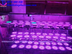 Thiết bị đài phun nước tại Đà Nẵng - TP HCM 1