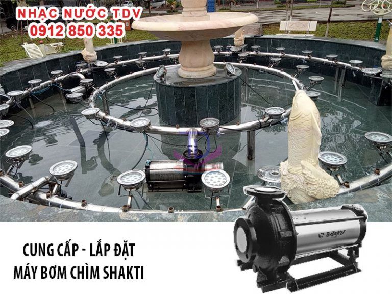 Máy bơm chìm và đèn LED âm nước được nhập khẩu chính hãng 