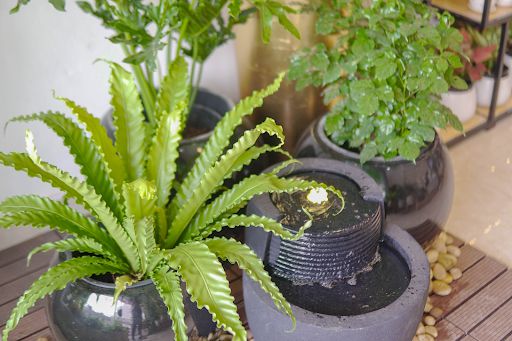 Một số mẫu đài phun nước giả đá composite đẹp cho sân vườn